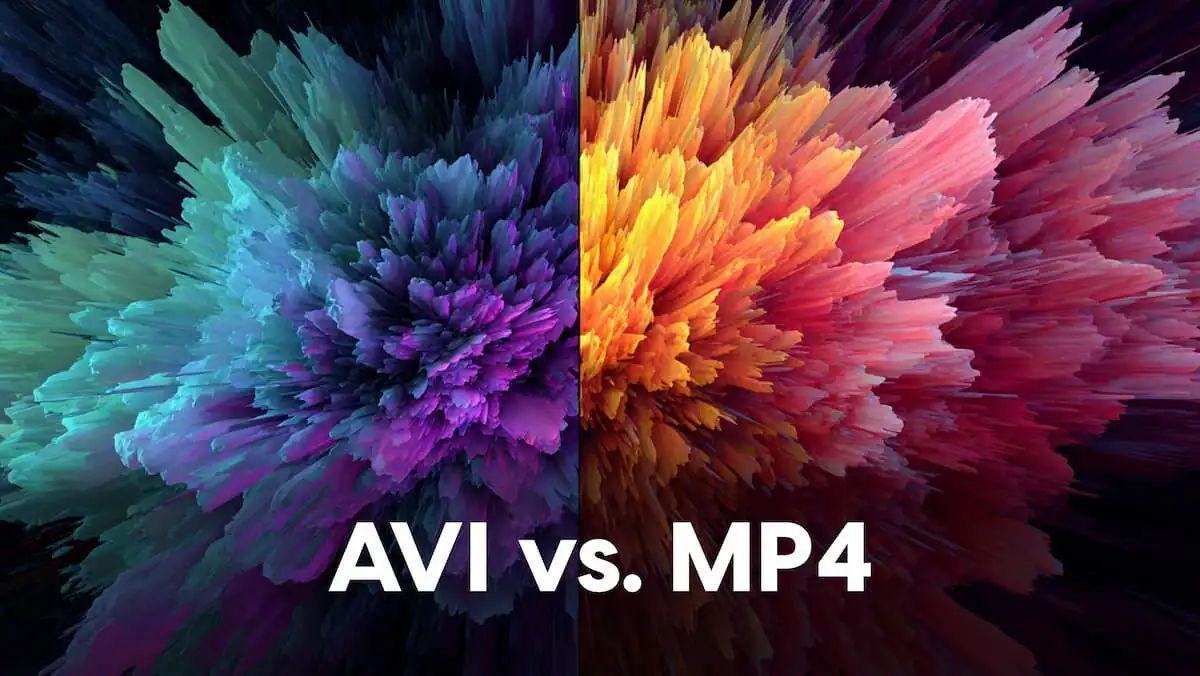 AVI vs. MP4: A Deep Dive into Video Formats and Why It Matters
